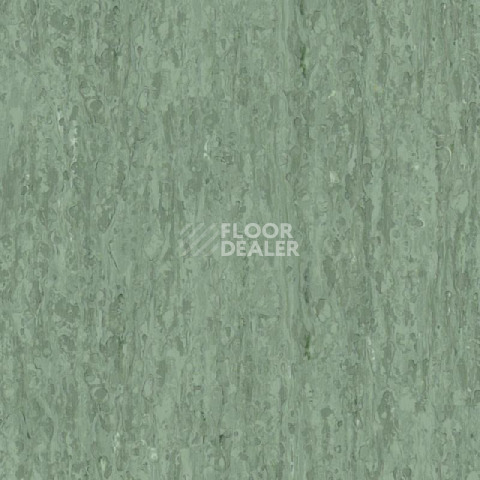 Линолеум Tarkett iq Optima Dark Green 0252 фото 1 | FLOORDEALER